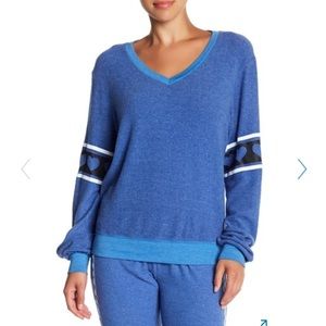 Blue Wildfox Sweater